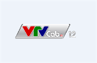 VTVcab 12 - StyleTV
