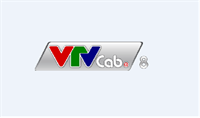 VTVcab 8 - BiBi